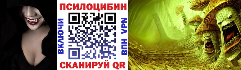 Галлюциногенные грибы Psilocybe  даркнет сайт  Подпорожье 