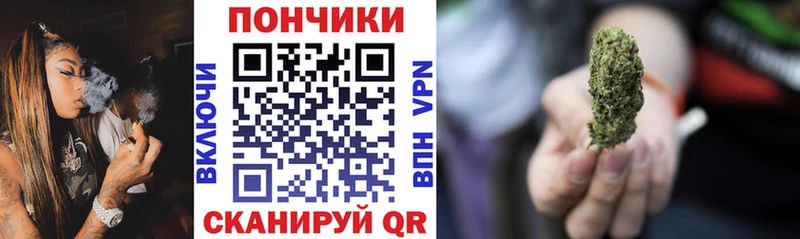 где продают   Подпорожье  Шишки марихуана индика 